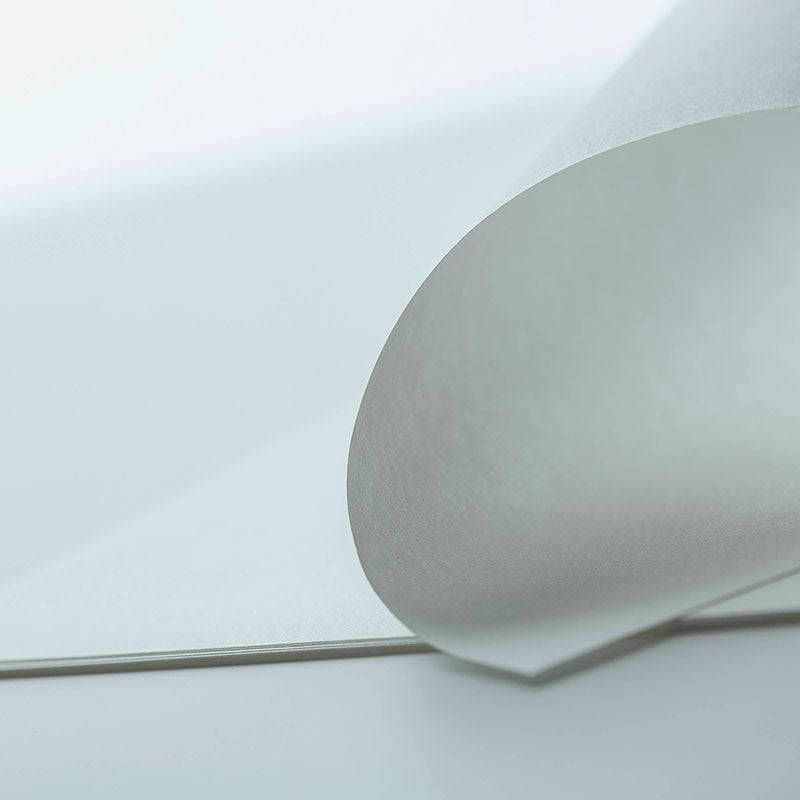 Awagami Silk Pure White 65gsm