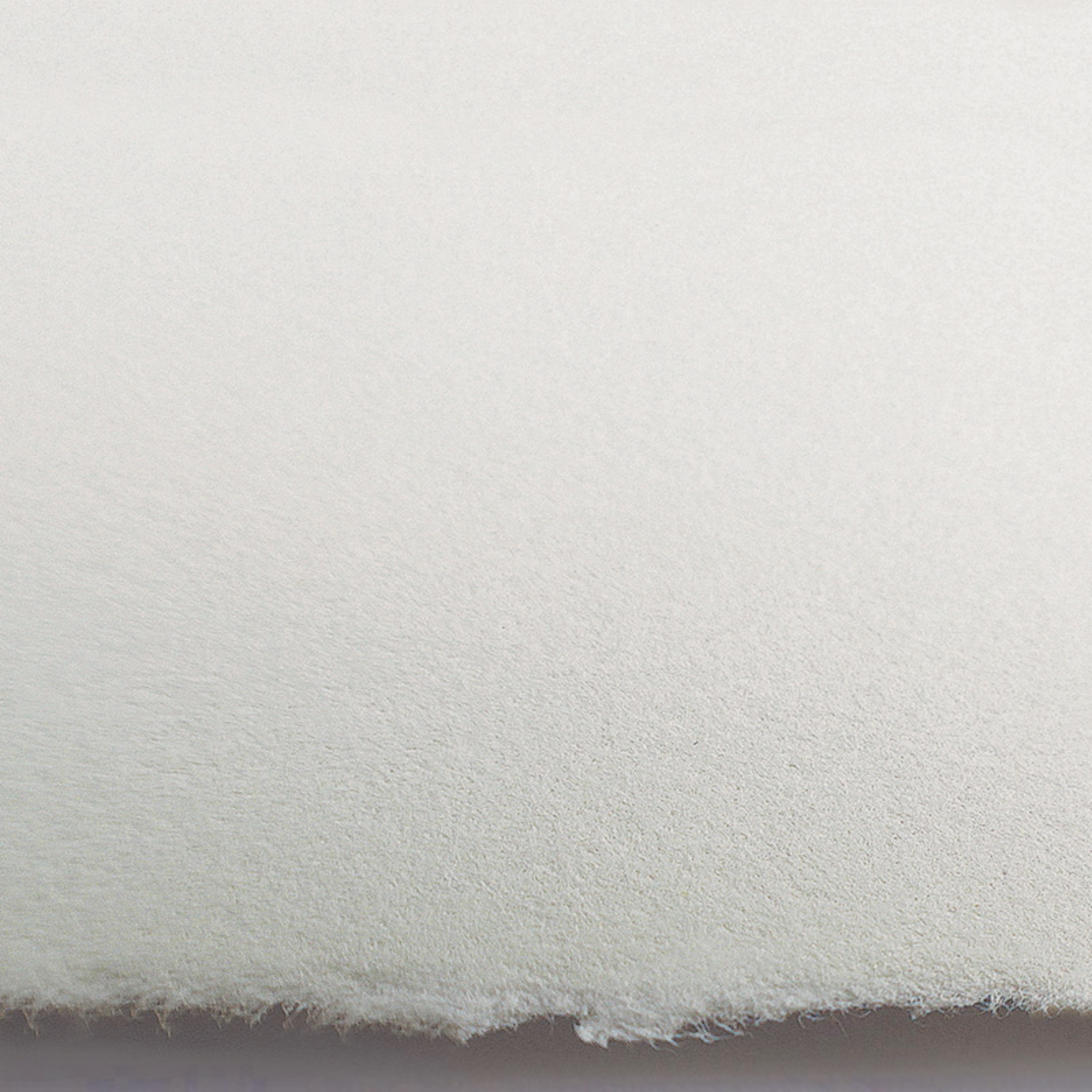 Close-up of warm white paper texture showing a deckled edge on a light grey background
