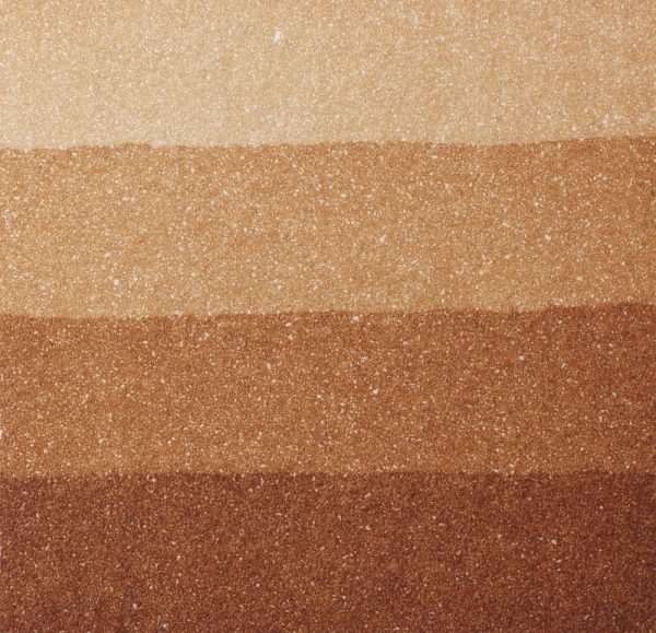 An aquatint test print in brown showing 4 depths of tone.