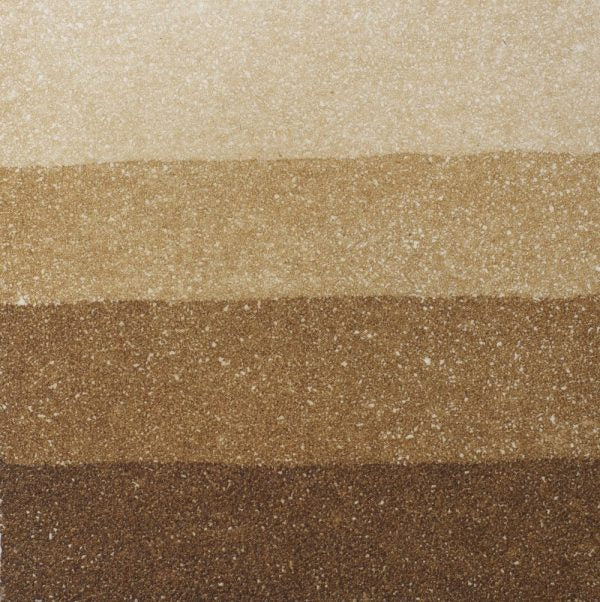 An aquatint test print in brown showing 4 depths of tone.