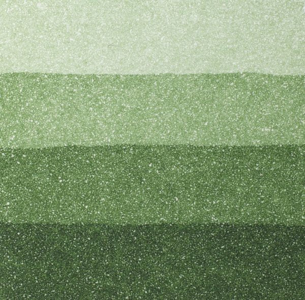 An aquatint test print in green showing 4 depths of tone.