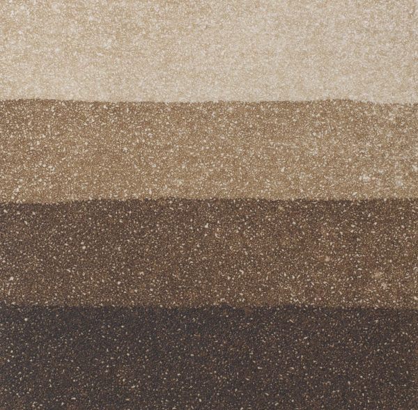 An aquatint test print in brown showing 4 depths of tone.