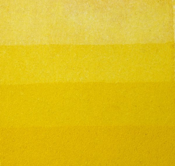 An aquatint test print in yellow showing 4 depths of tone.
