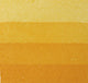 An aquatint test print in yellow showing 4 depths of tone.