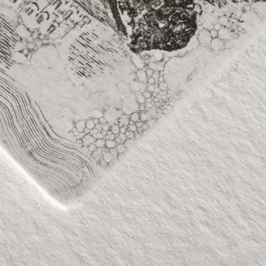 A close up of a black print on white paper showing a partial image and highlighting the paper texture.