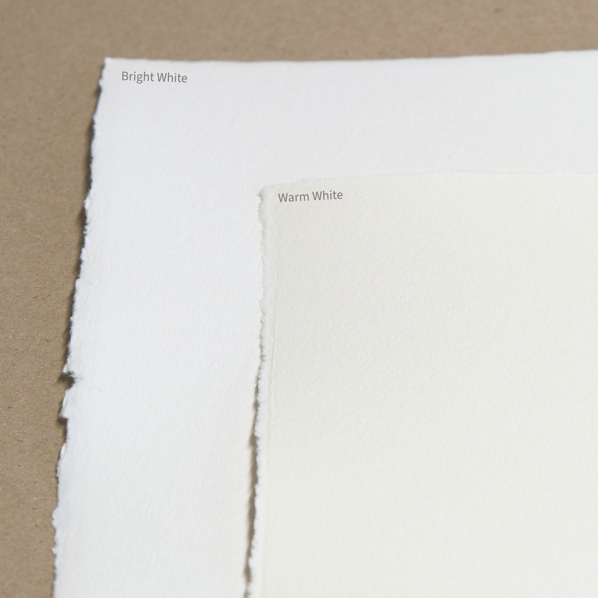 Two swatches of different toned white paper labeled 'Bright White' and 'Warm White' on a beige background.