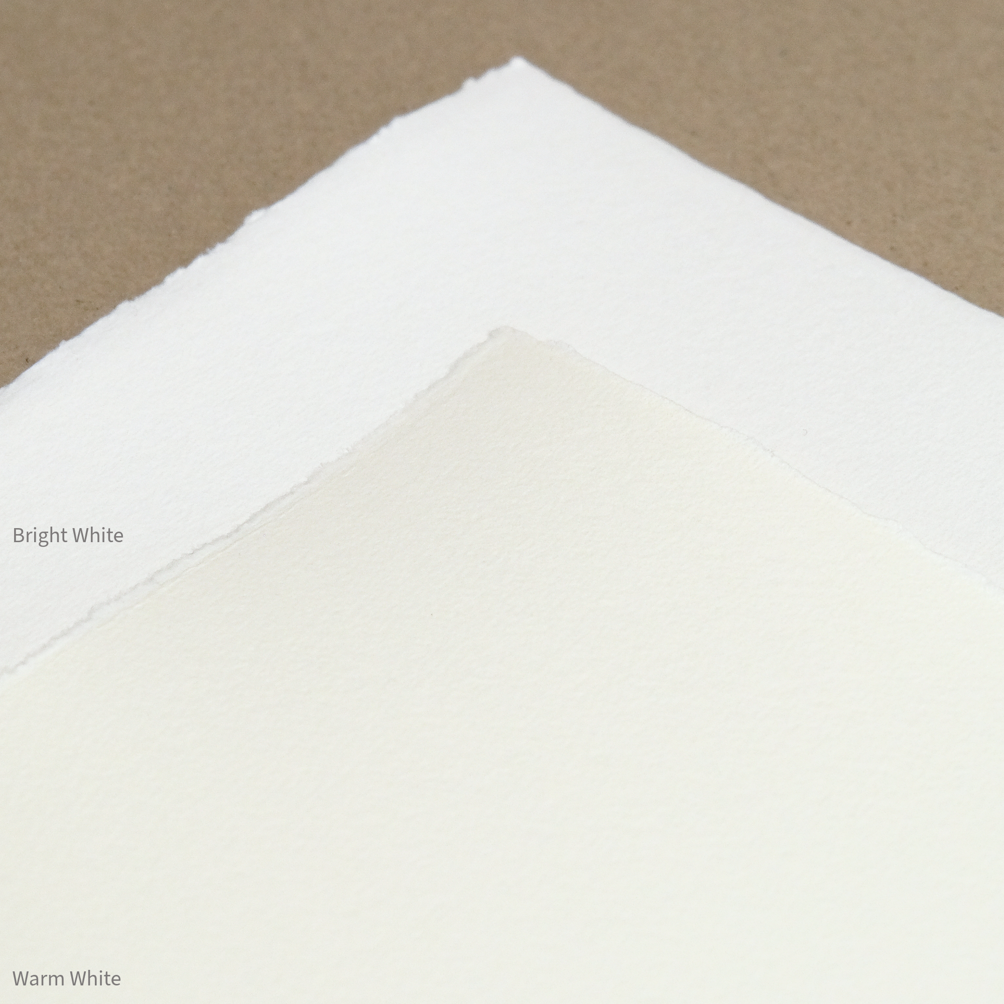 Two swatches of different toned white paper labeled 'Bright White' and 'Warm White' on a beige background.