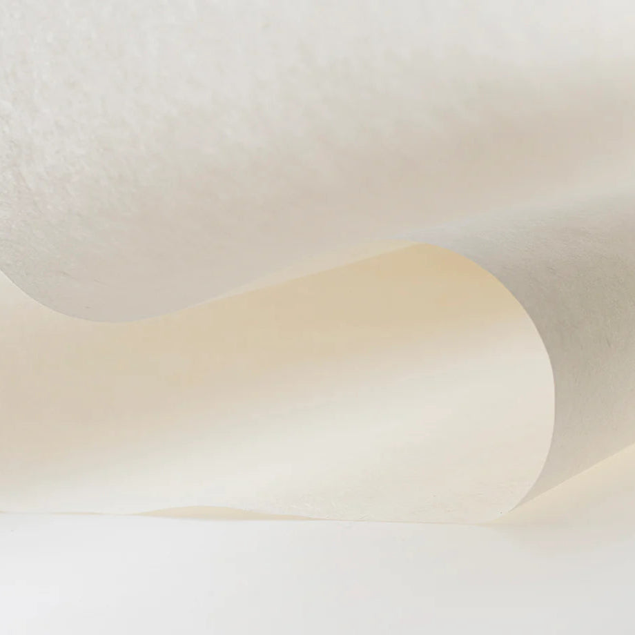 Close-up of a roll of white paper on a white background