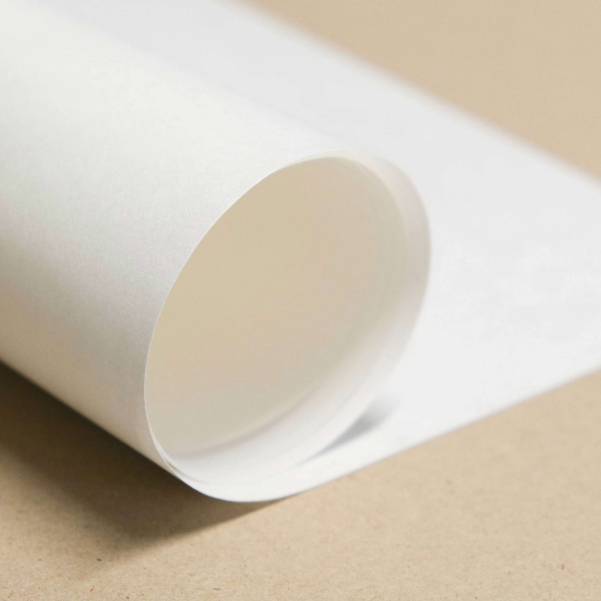 Roll of white paper with clean cut edges on a beige background