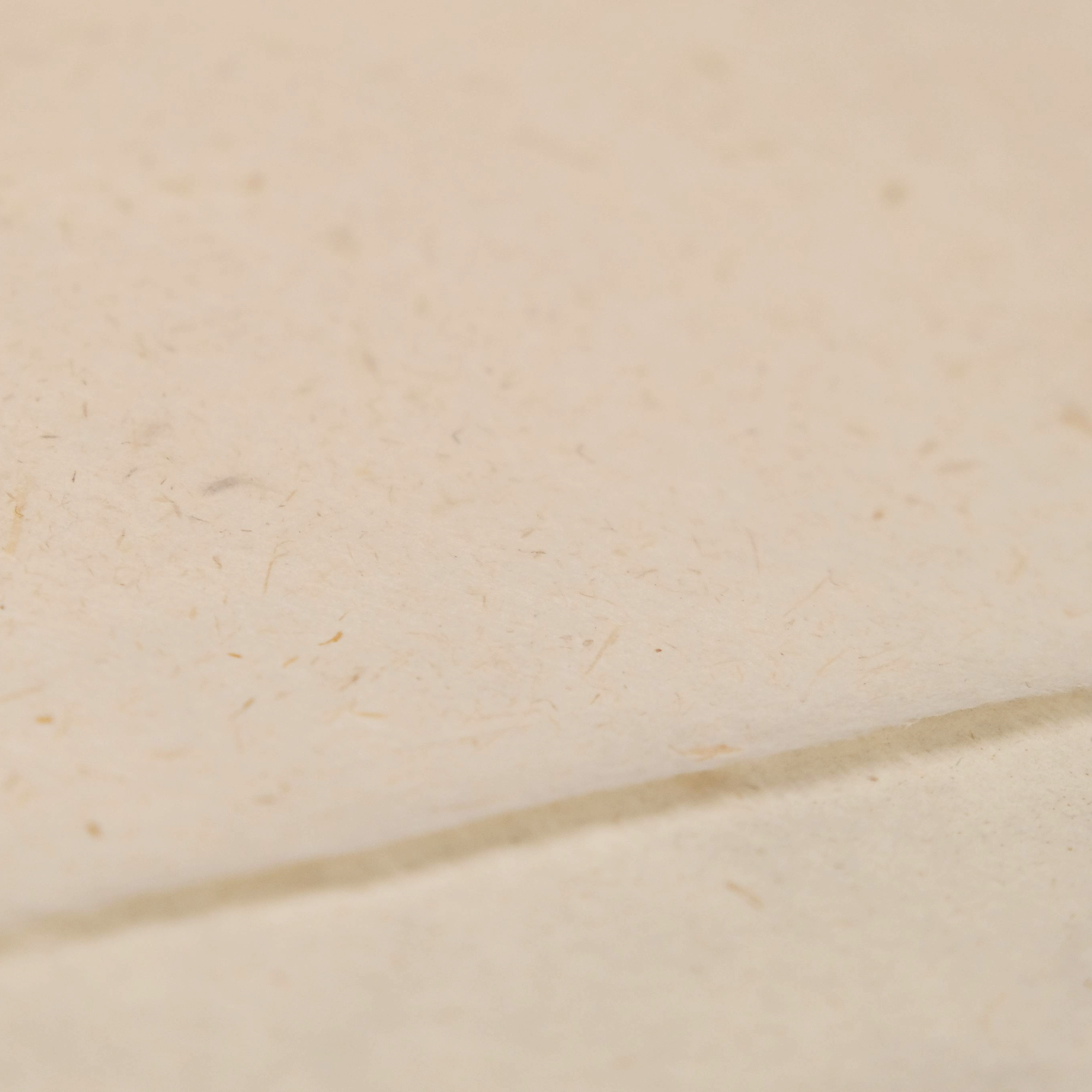 Close-up of a beige fibre flecked paper  surface showing a soft deckled edge.