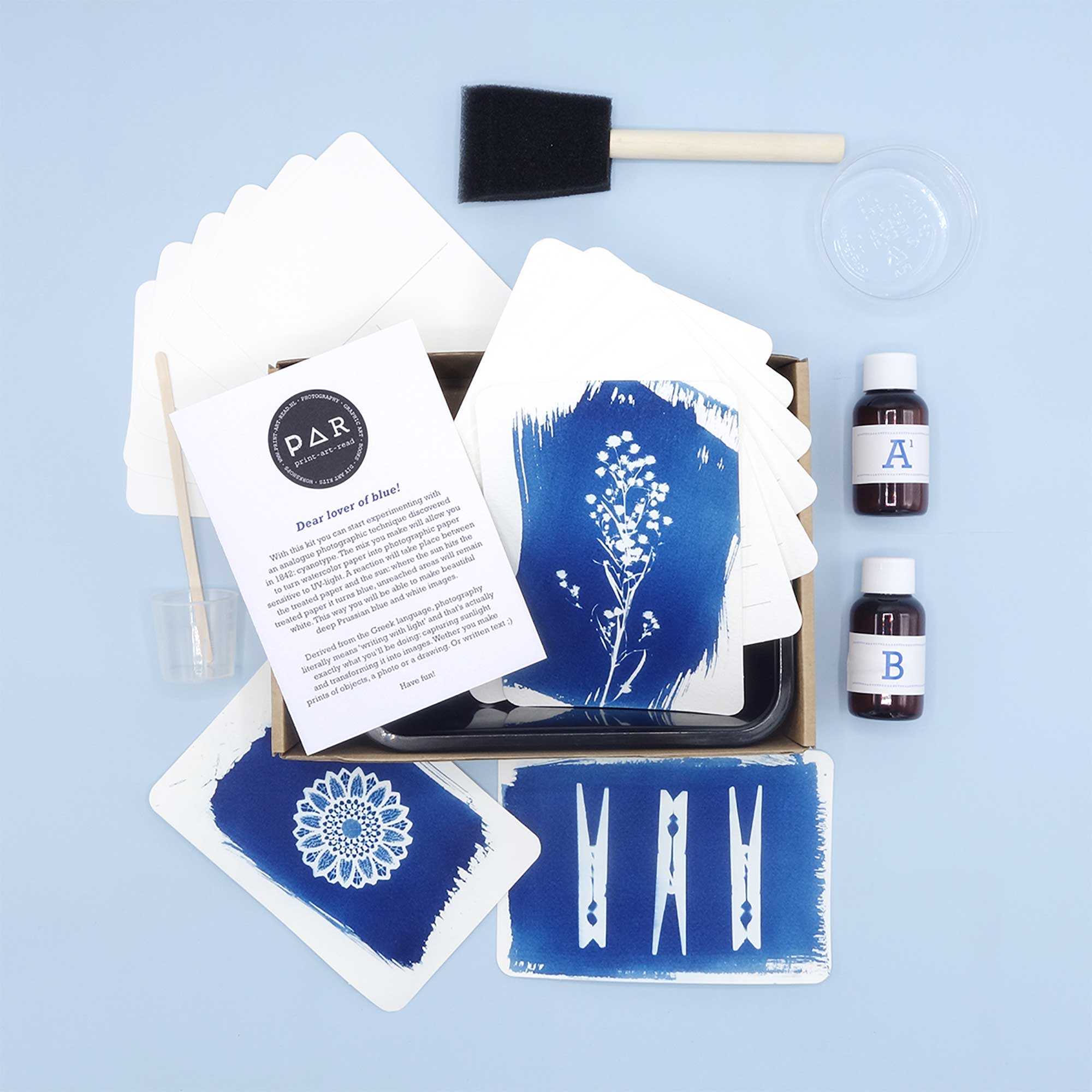 Cyanotype Postcard Kit contents with come cyanotype examples on 9x12inch paper