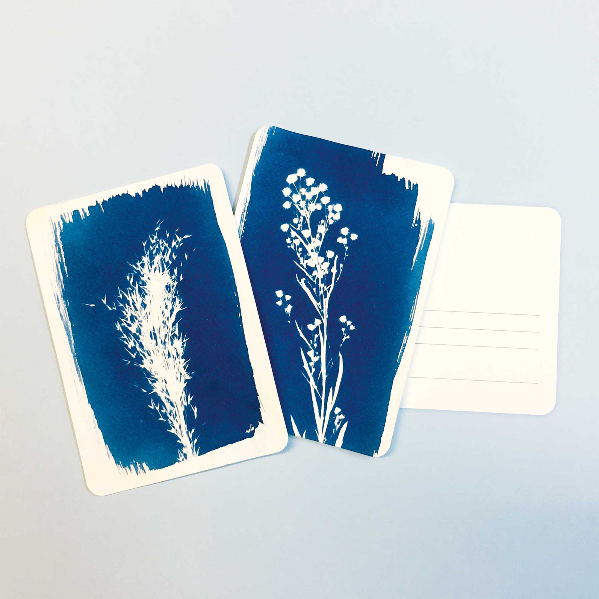 Cyanotype examples on postcard size paper 