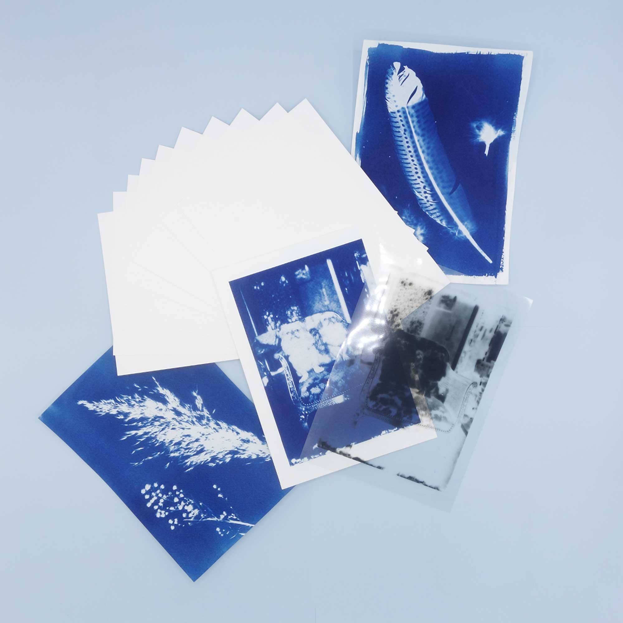 Cyanotype Print examples with acetate exposure sheet and spare watercolour paper