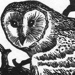 Engraving print of an owl in a black ink on white paper.