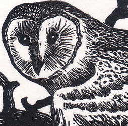 Engraving print of an owl in a black ink on white paper.