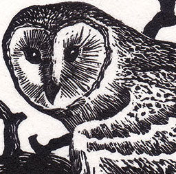 Engraving print of an owl in a black ink on white paper.