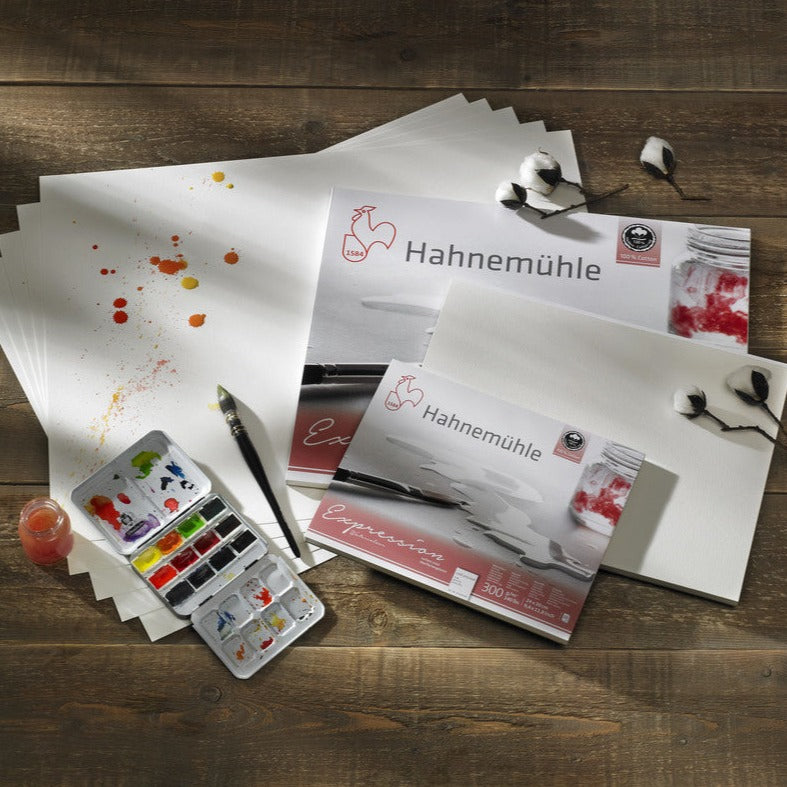 Hahnemühle Expression Watercolour Papers - Melbourne Etching Supplies